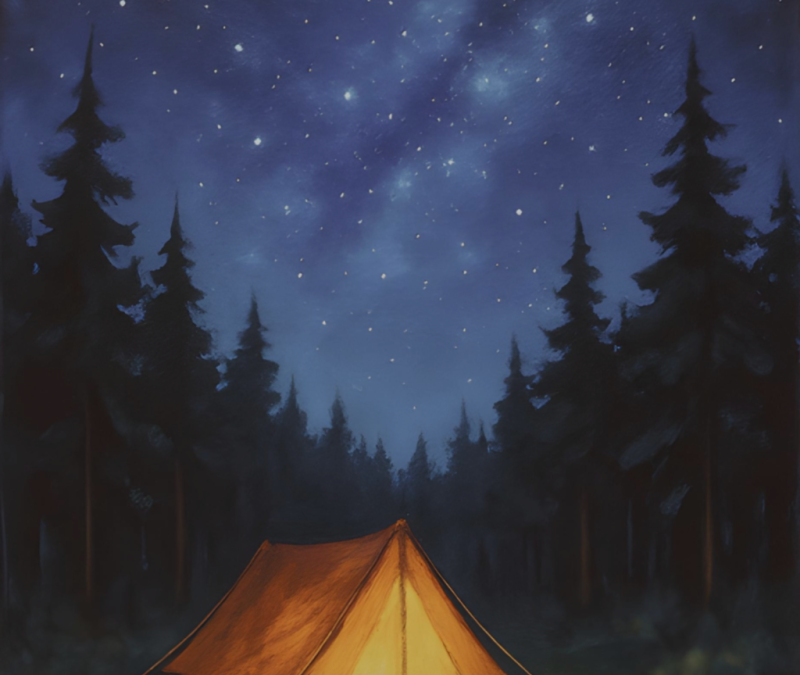 “Wilderness Camping”, a BYOB PAINT & SIP with Lisa